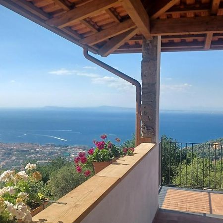 Agriturismo Primaluce Sorrento Ngoại thất bức ảnh