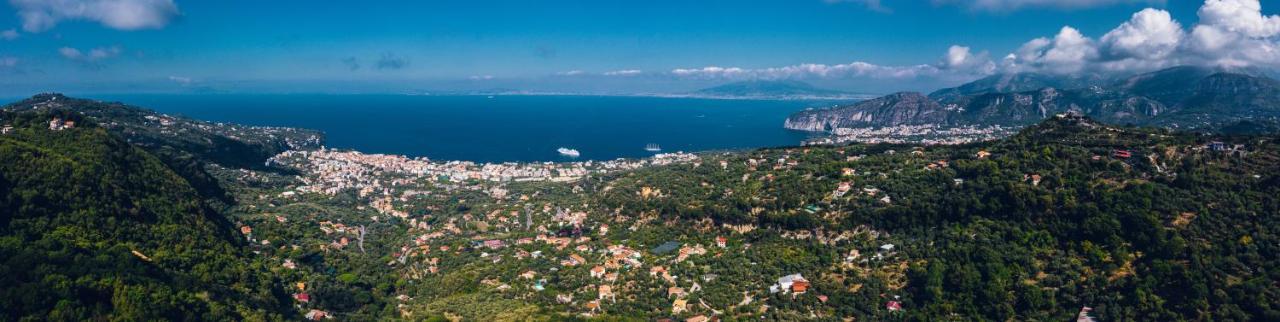 Agriturismo Primaluce Sorrento Ngoại thất bức ảnh